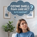 Why Do Some People Describe Ozone as a Cold Smell?