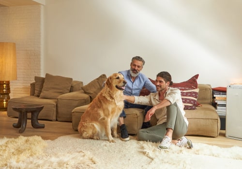 18x20x1 HVAC Furnace Home Air Filter: Expert-Approved Solution For Cleaner Air And Better AC Performance